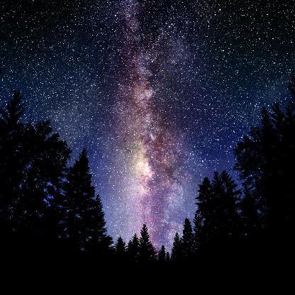 NothernStar's avatar