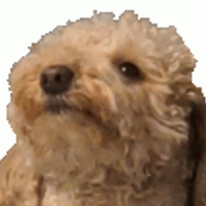 OscarsAqua's avatar