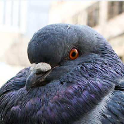 ItzThugNugget's avatar