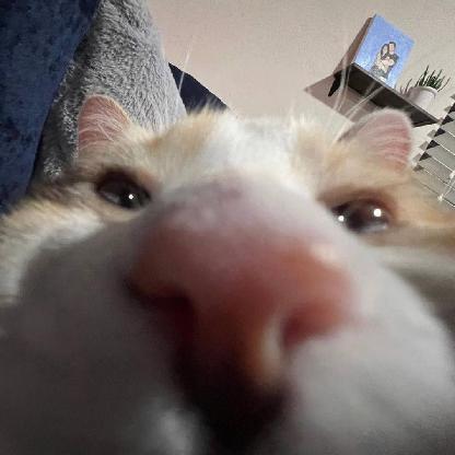 FlowerPowerLOL's avatar