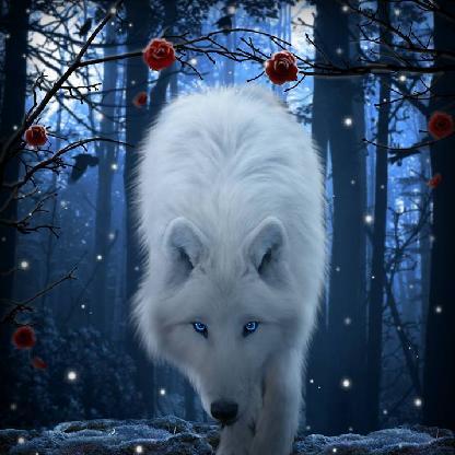 GrandXavier31's avatar