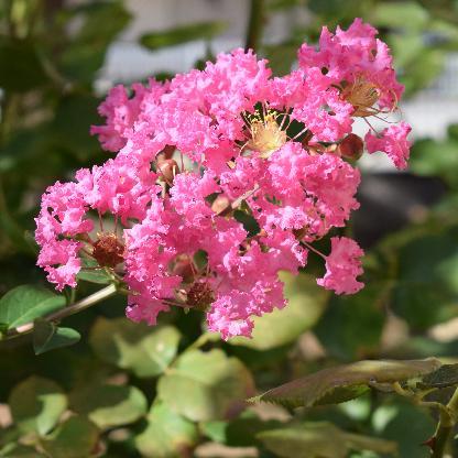 KatherineLos1998's avatar