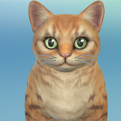 cocxi's avatar