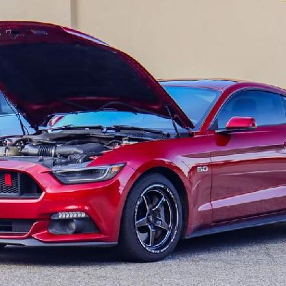 GimmiChikyTendi's avatar