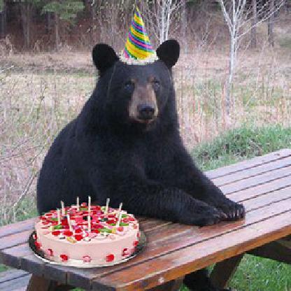 BakedPastryBear's avatar