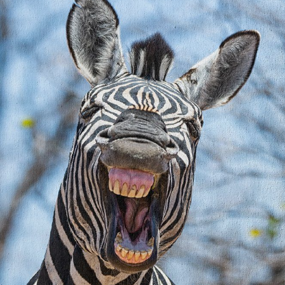 Wildes-Zebra2's avatar