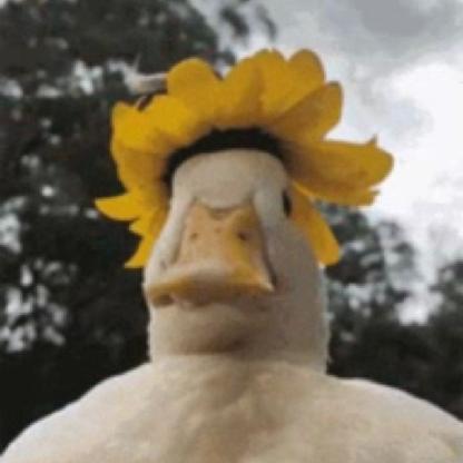 opudalo1337's avatar