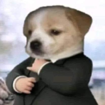 birolay's avatar