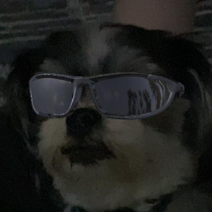 fotzobanzai's avatar