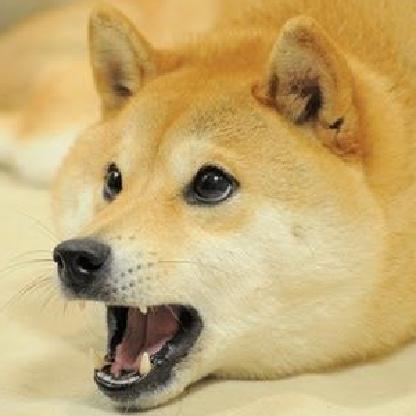 ProKobraYT's avatar