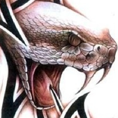 TL-BLACKSNAKE's avatar