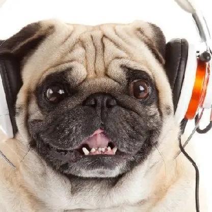 StarkeyPug's avatar
