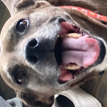 MyGamerNamer's avatar