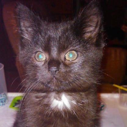 fournier1611's avatar