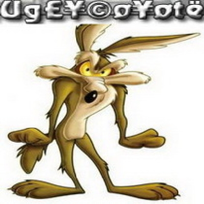 Uglycoyote's avatar