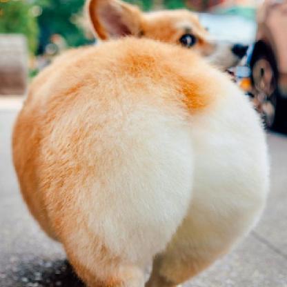 ChaosQueenGG's avatar