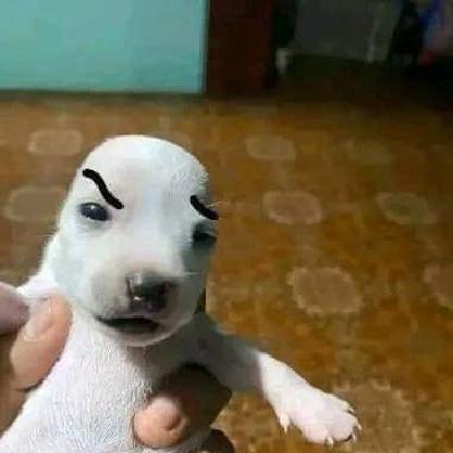 alexander01928's avatar