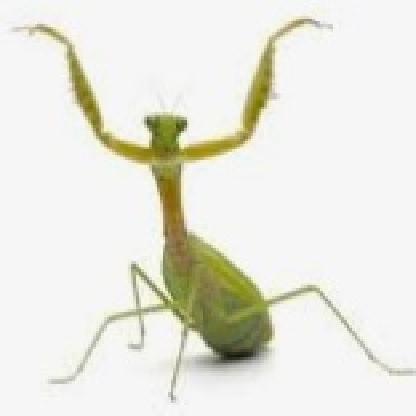 TrueMantis's avatar