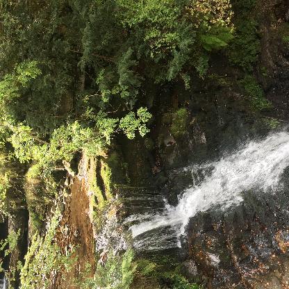 peguizabal22's avatar