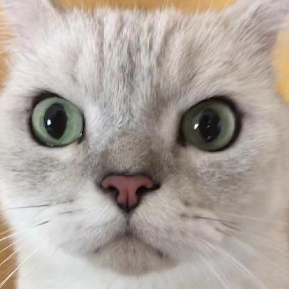 WXHM_67's avatar