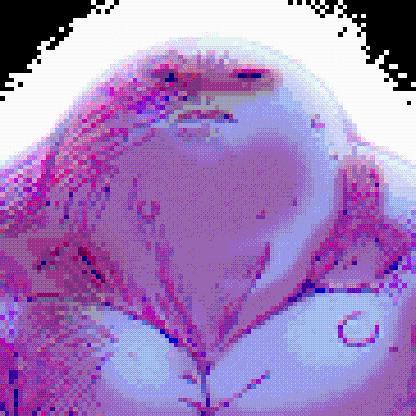 Nttxzu's avatar