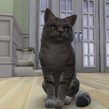 Cat_simmer557's avatar