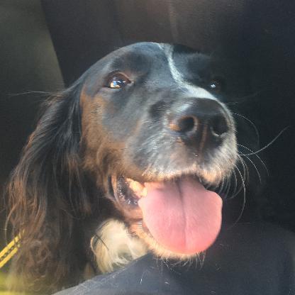 weirdwizard17's avatar