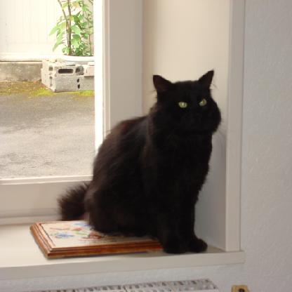 Au-dela-du-reel's avatar