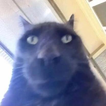 alehxa's avatar