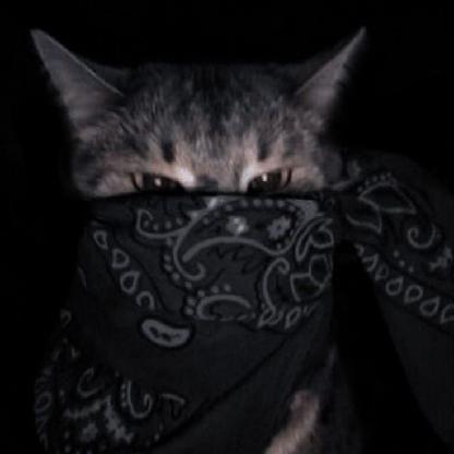 T4XAROPE's avatar