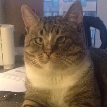 Crystal_Clear24's avatar