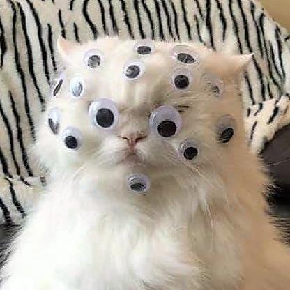 domosapiens's avatar