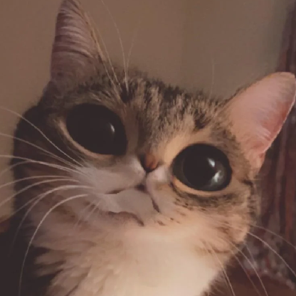 iBiixie's avatar