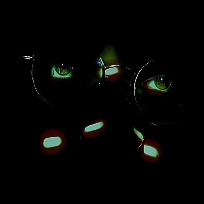 Whiptheer's avatar