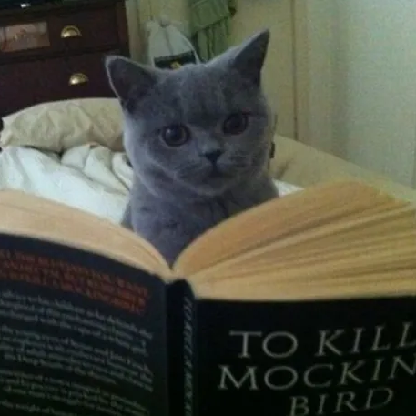 2hot4yu2handle's avatar