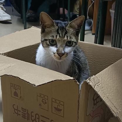 FastMovingSlime's avatar