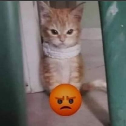 Angelmaster2515's avatar