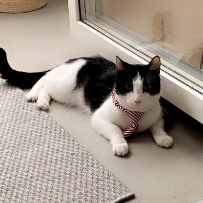 Kalaner_Ballin's avatar