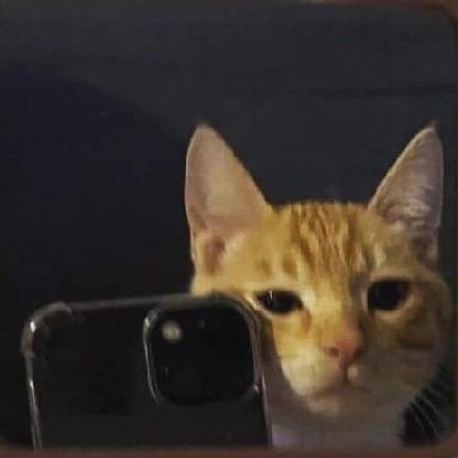 Pedronly99's avatar