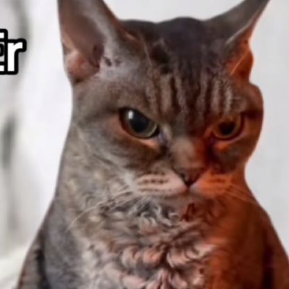 aliciapower55's avatar