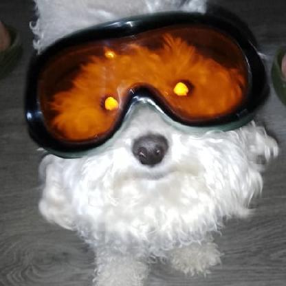 DDanuXD's avatar
