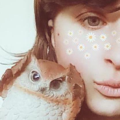 kiwiowlsimmernz's avatar