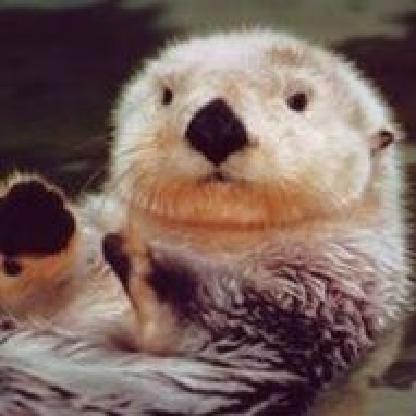 otterflots's avatar