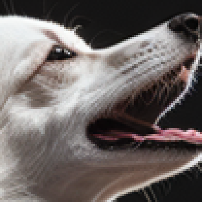 DevilzAngel2k19's avatar