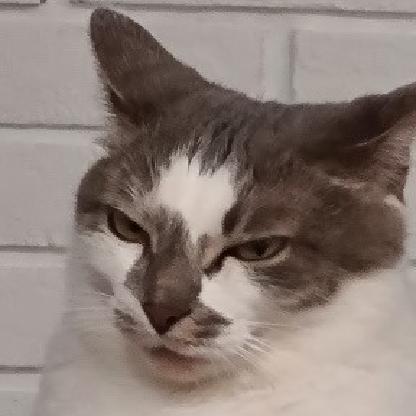 MilkedBags's avatar