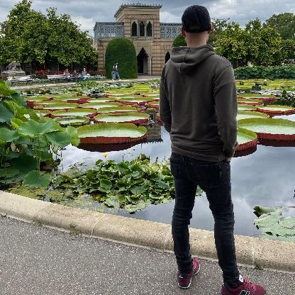 DieFeuerfliege's avatar