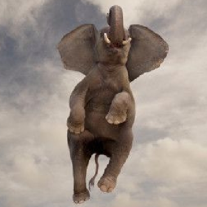 FlyingElephant21's avatar