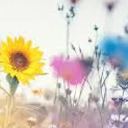 kmohn's avatar