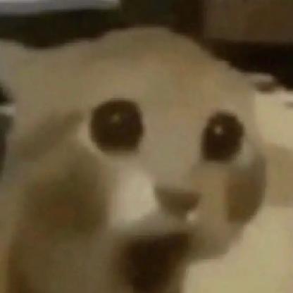 yoozixcx's avatar