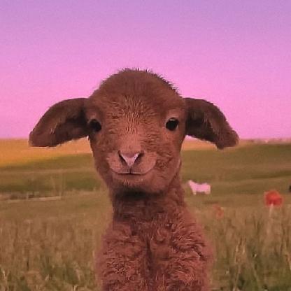 Gr33n_Spring's avatar